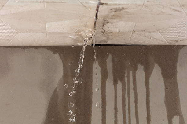 Professional Burst Pipe Cleanup technician working in Edgewater, MD